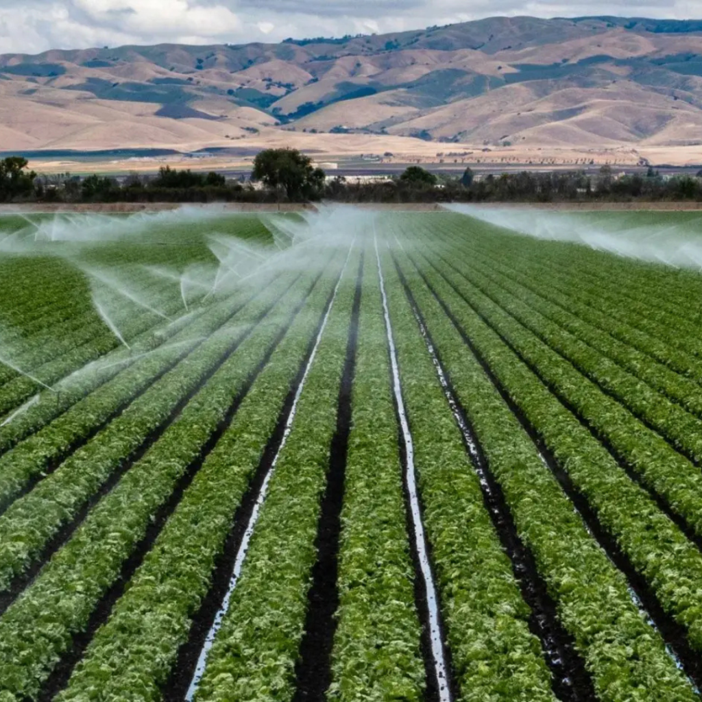 معالجة ملوحة مياه الآبار