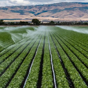 معالجة ملوحة مياه الآبار